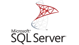 Microsoft SQL Server with Access Expert